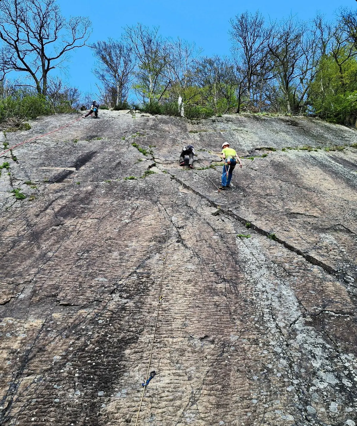 alle Rechte | © Ariadne Rodriguez