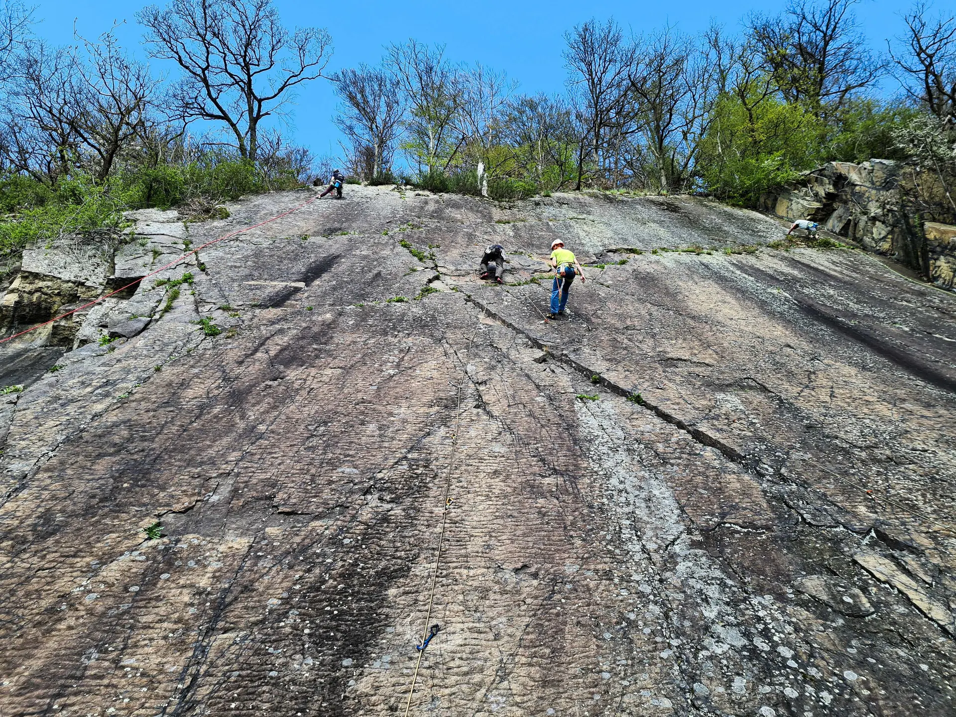 alle Rechte | © Ariadne Rodriguez