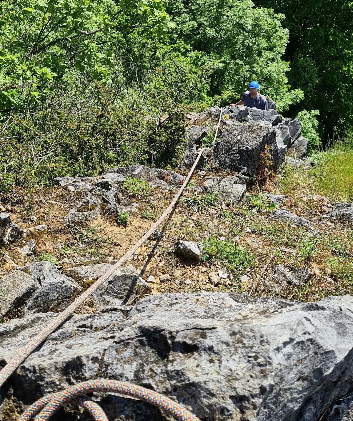 alle Rechte | © Ariadne Rodriguez