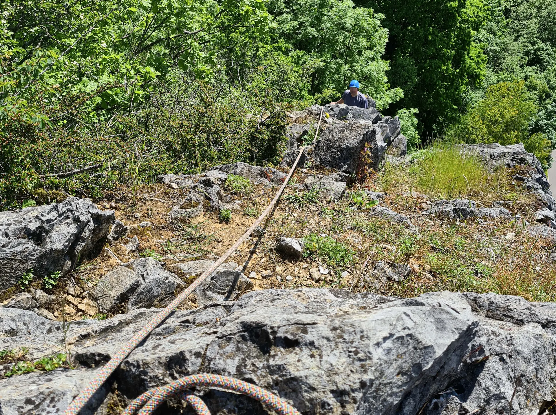 alle Rechte | © Ariadne Rodriguez