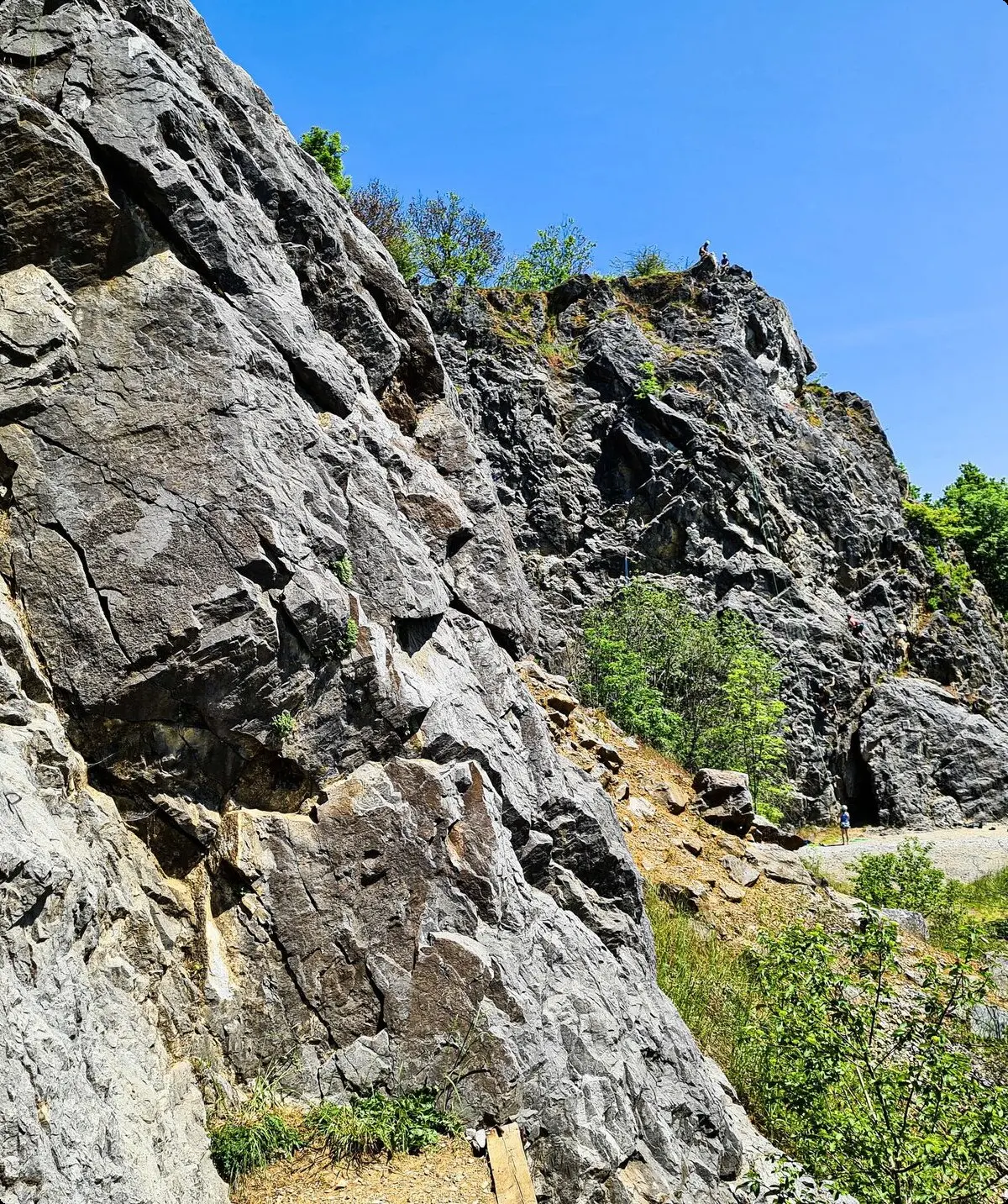 alle Rechte | © Ariadne Rodriguez