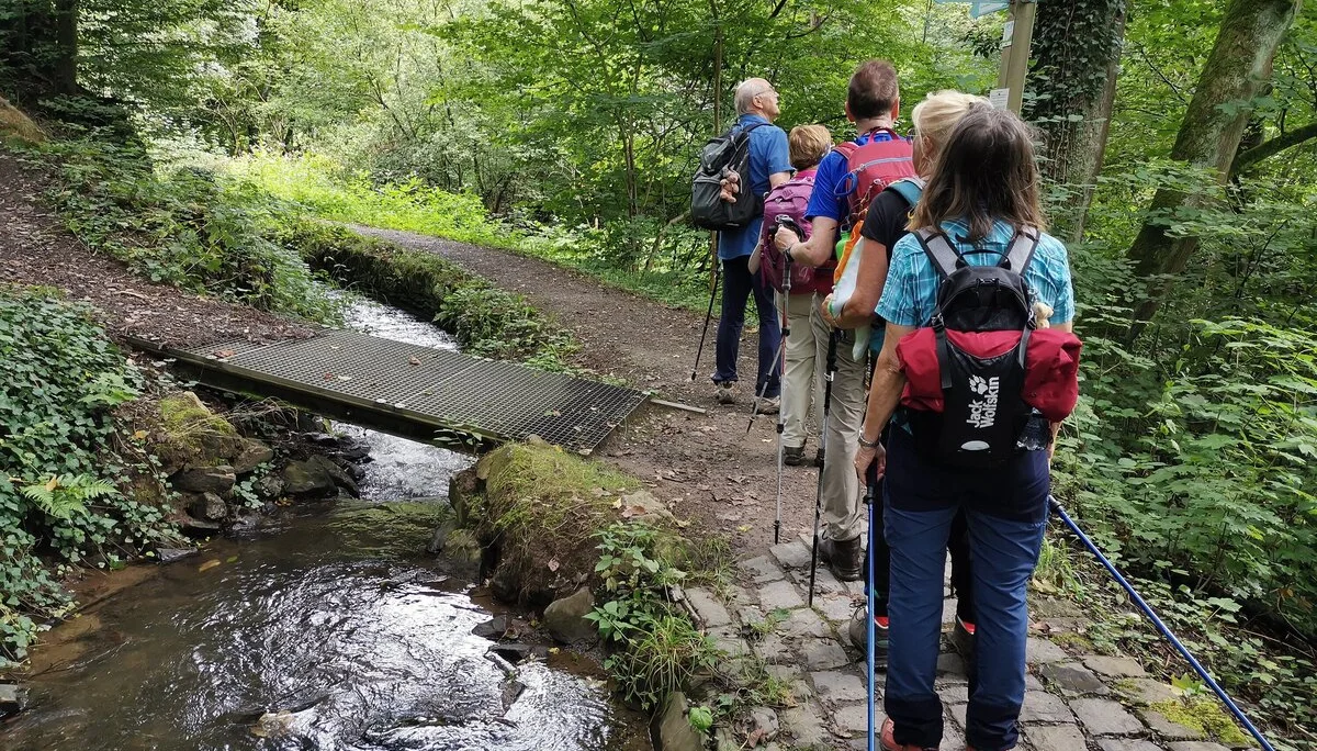 alle | © Uwe Impelmann