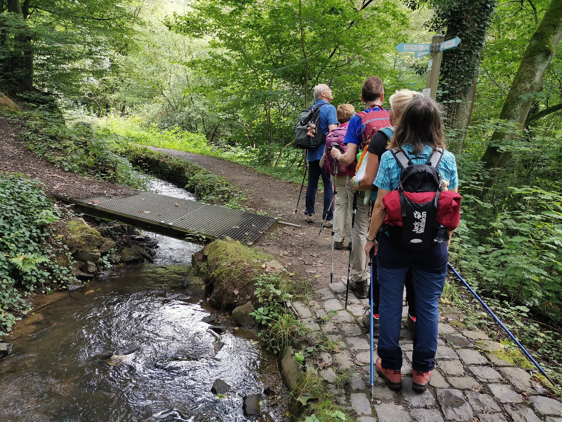 alle | © Uwe Impelmann