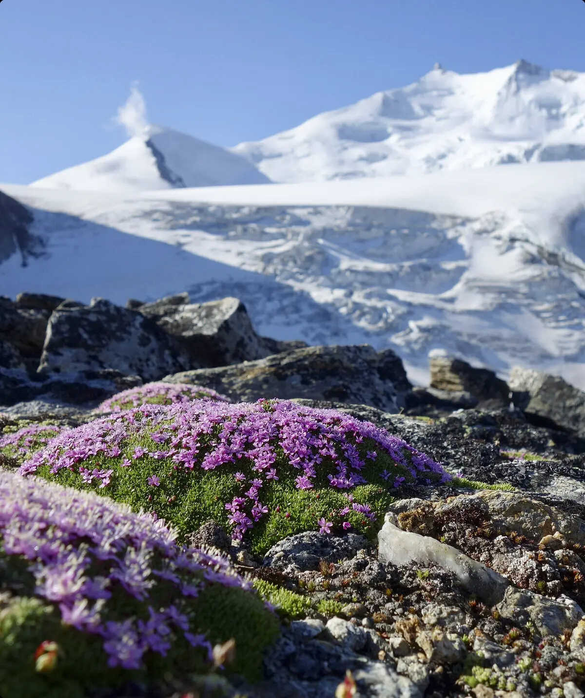 Rechte: alles Rechte | © Arndt Wilms