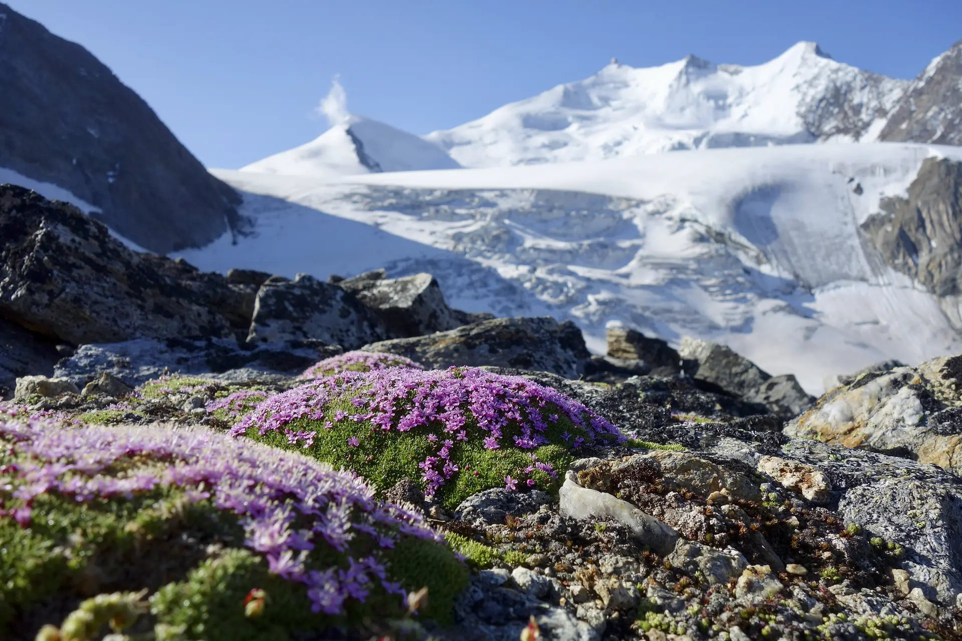 Rechte: alles Rechte | © Arndt Wilms