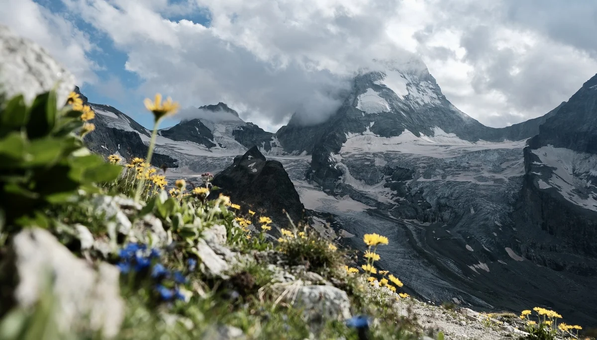 alle Rechte | © Arndt Wilms