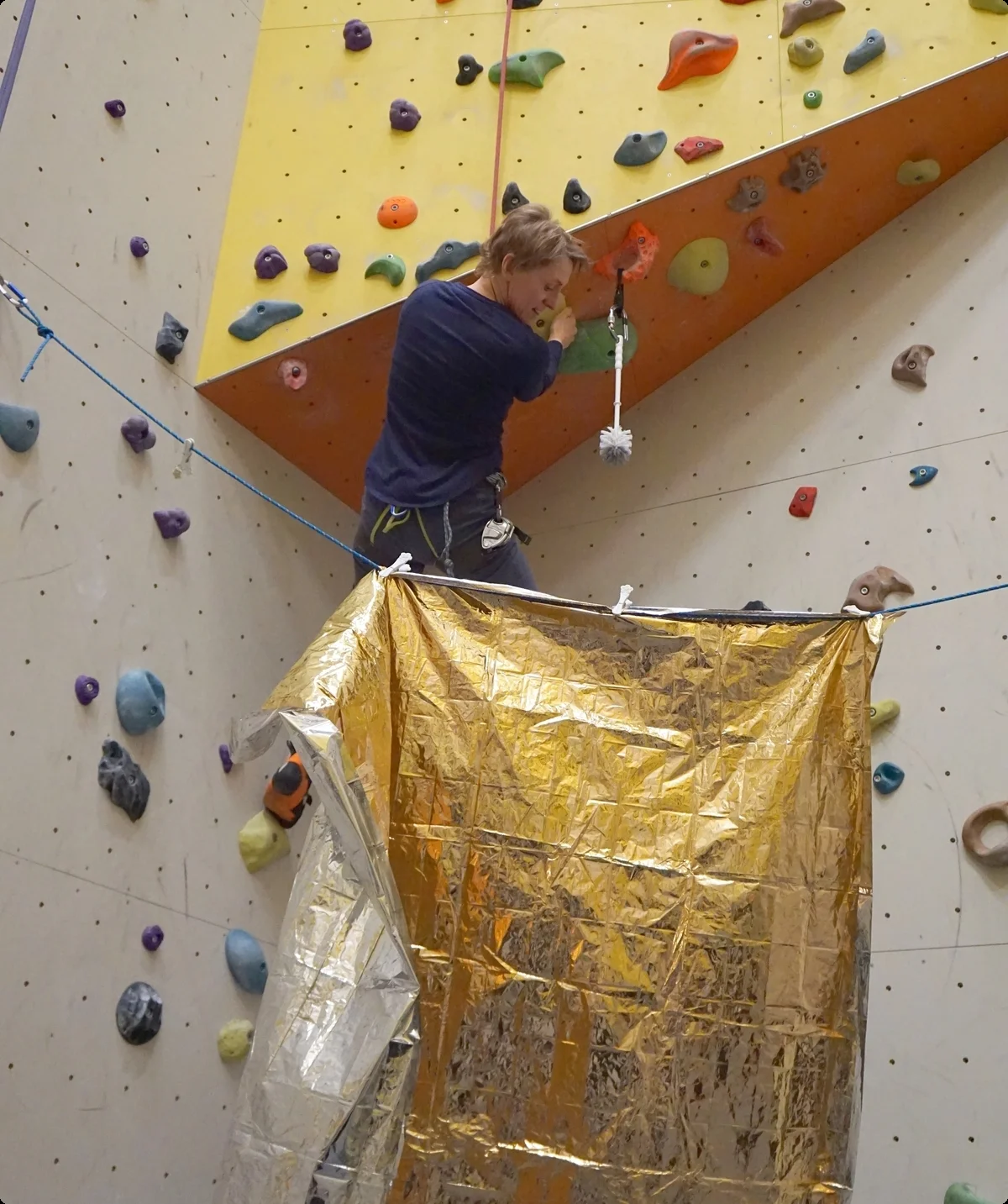 Web, BF | © Sandra Schürmann