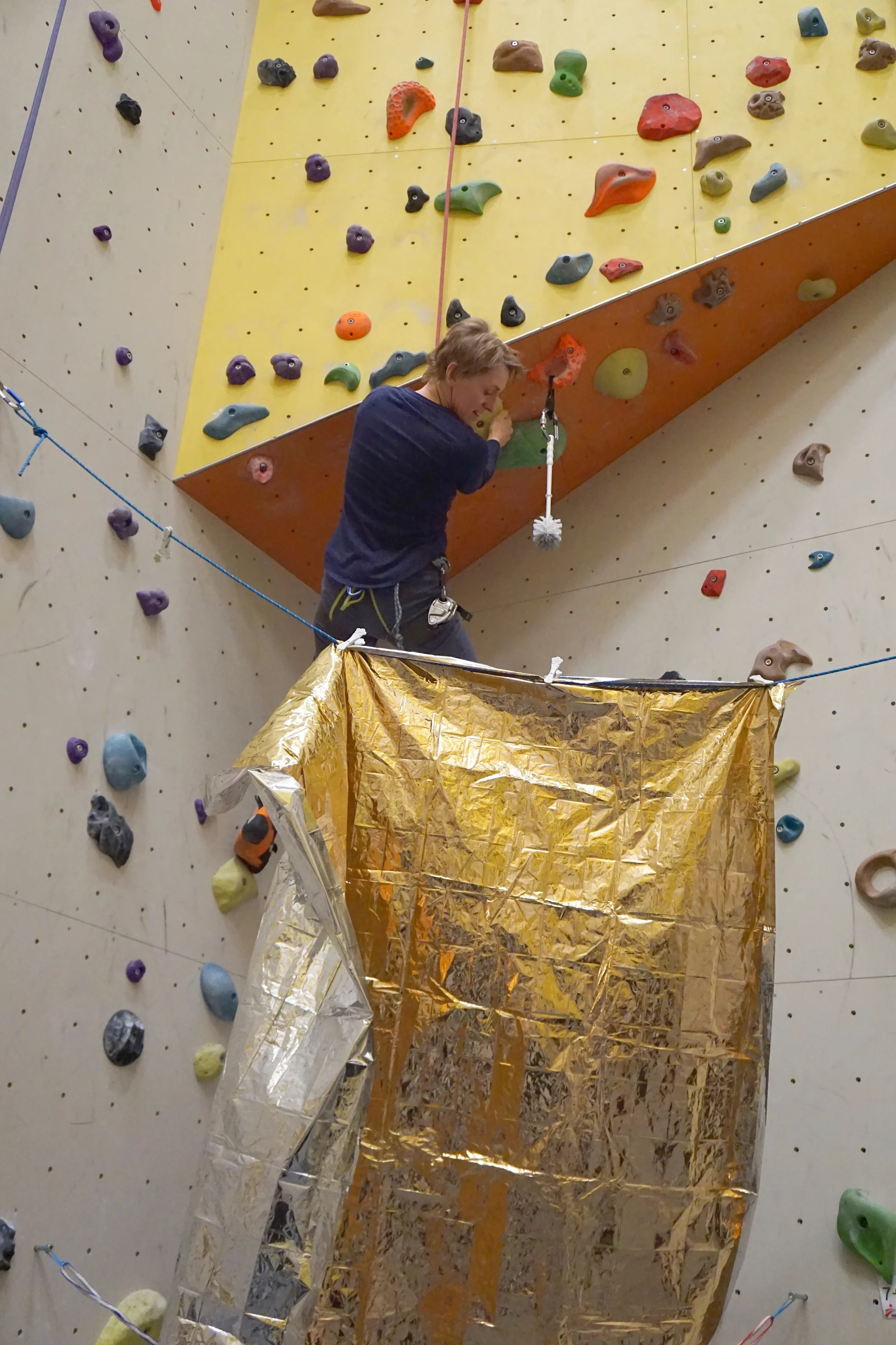 Web, BF | © Sandra Schürmann