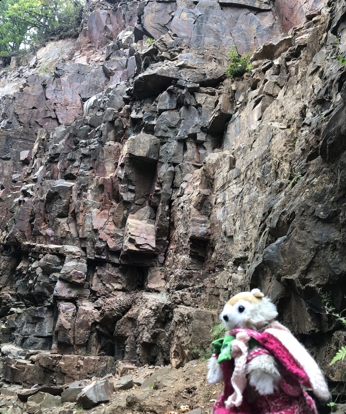 © Johanna Schilling