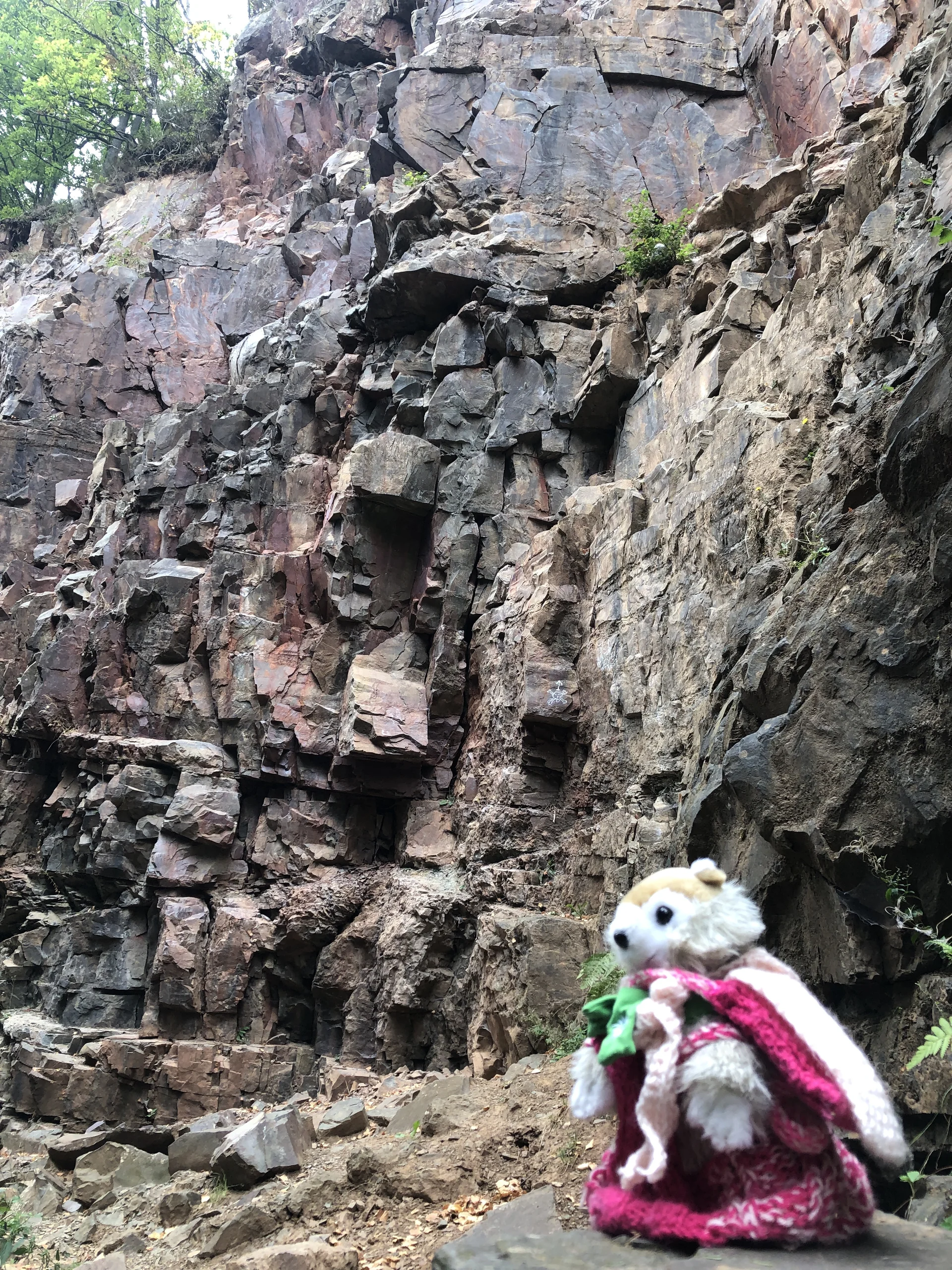 © Johanna Schilling