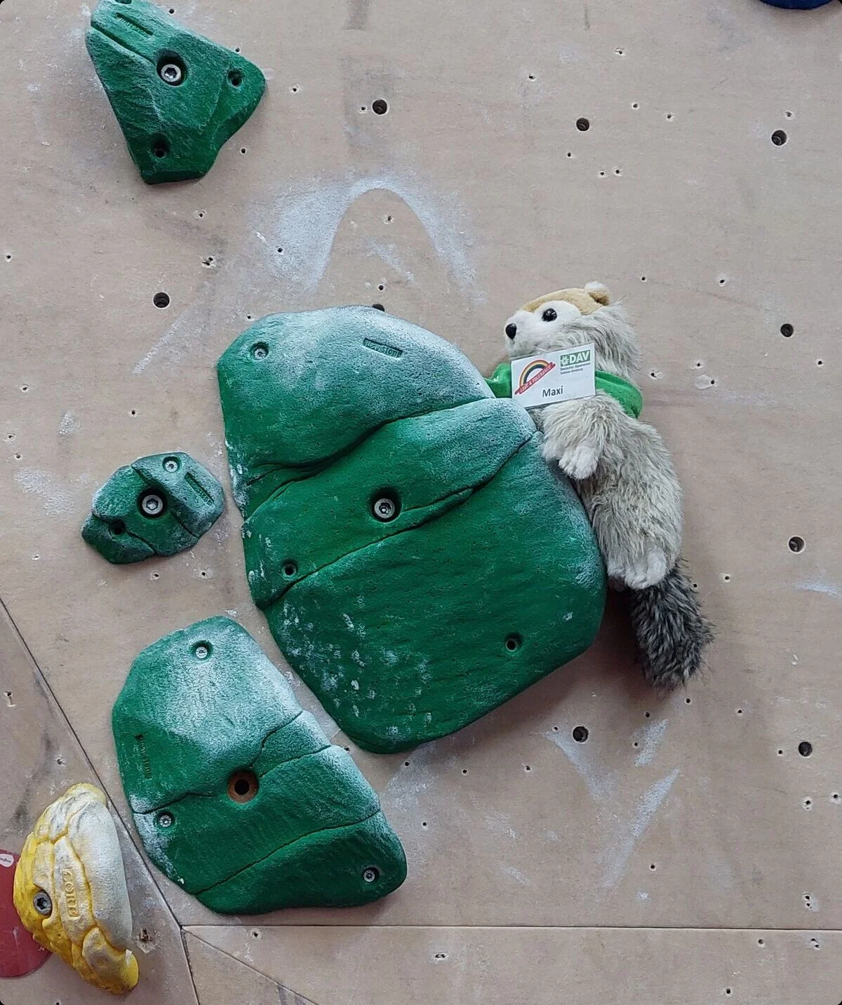 © Johanna Schilling 