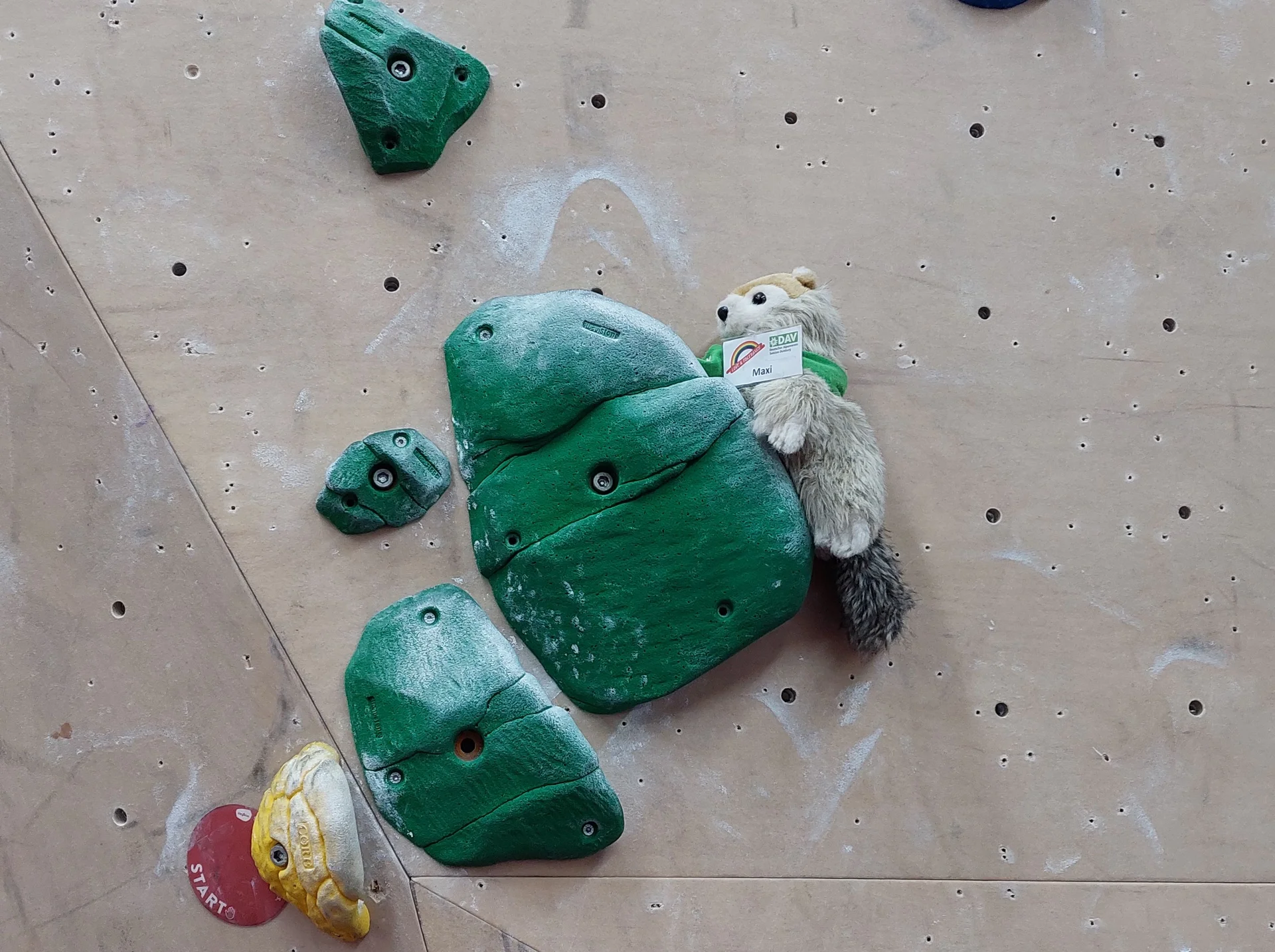 © Johanna Schilling 