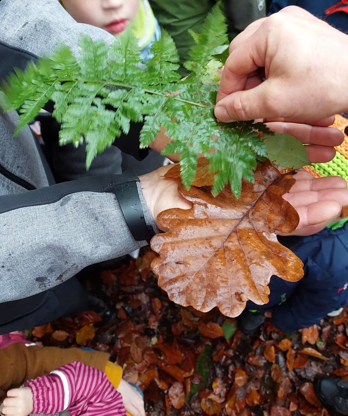 © Johanna Schilling 