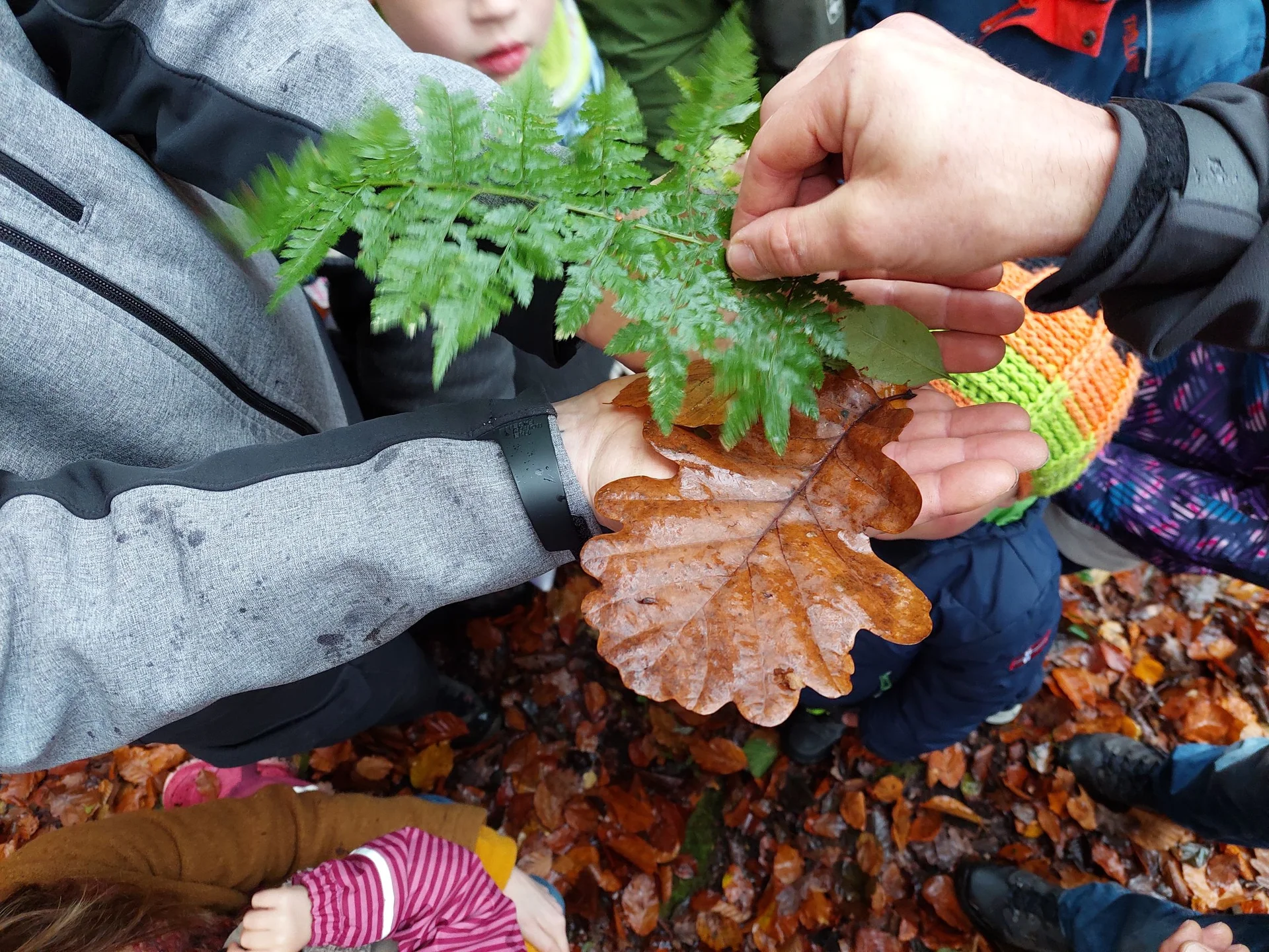 © Johanna Schilling 