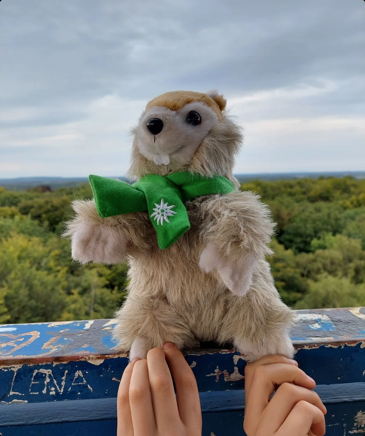 © Johanna Schilling