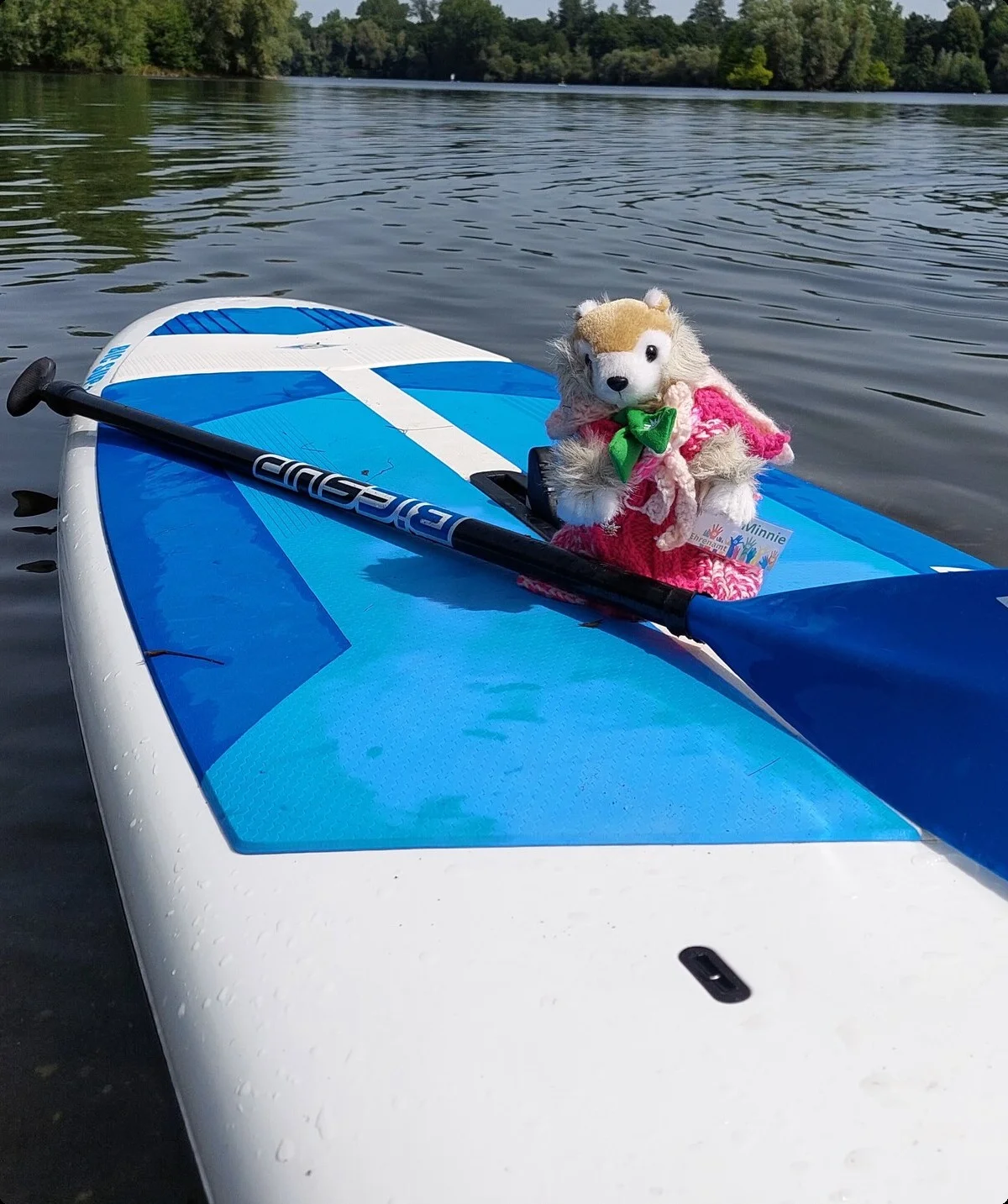 © Johanna Schilling