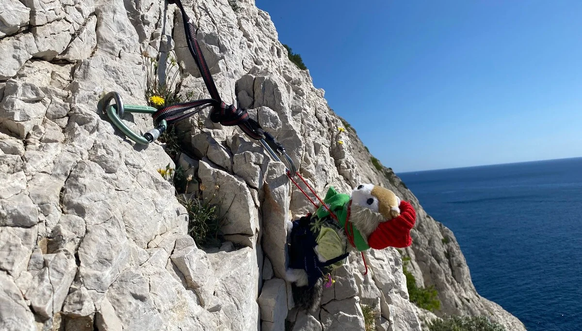 © Heidrun Stritzke / Gustl klettert mit. Immer gut gesichert.