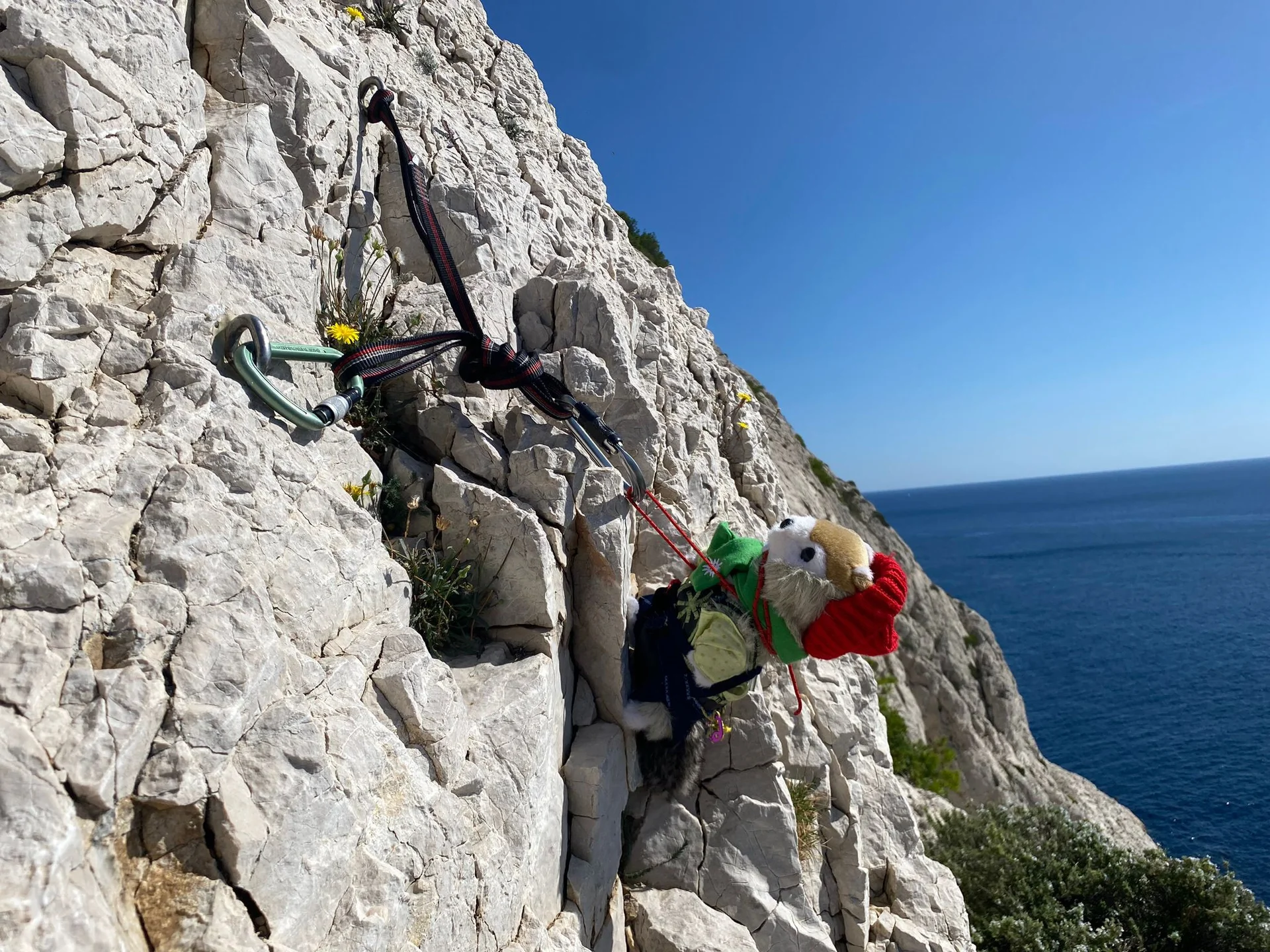 © Heidrun Stritzke / Gustl klettert mit. Immer gut gesichert.