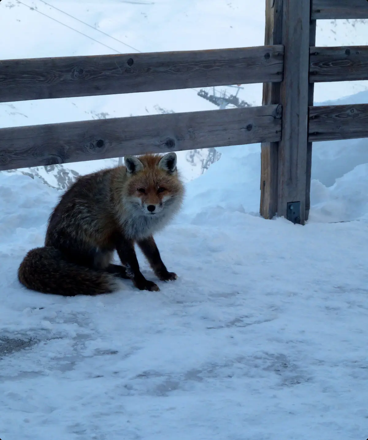 © Hüttenfuchs/ Oliver Knorre