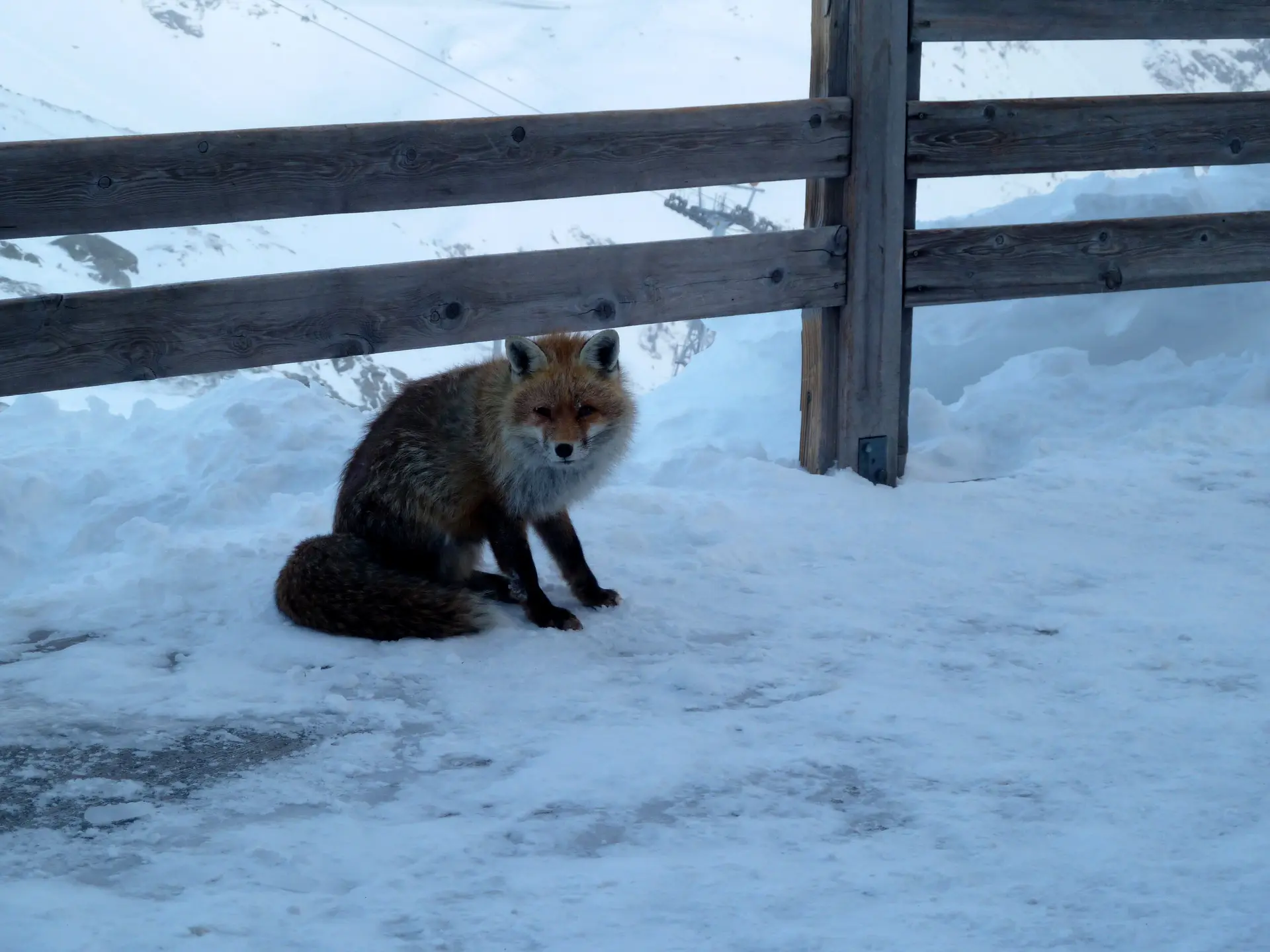 © Hüttenfuchs/ Oliver Knorre