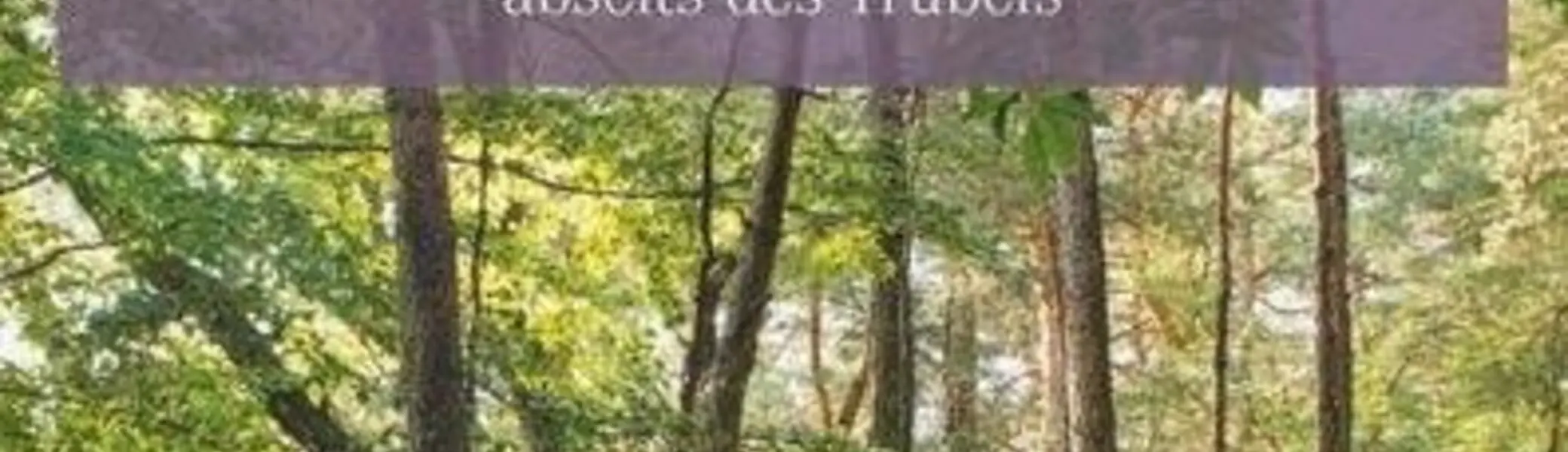 © GeraNova Bruckmann Verlagshaus GmbH