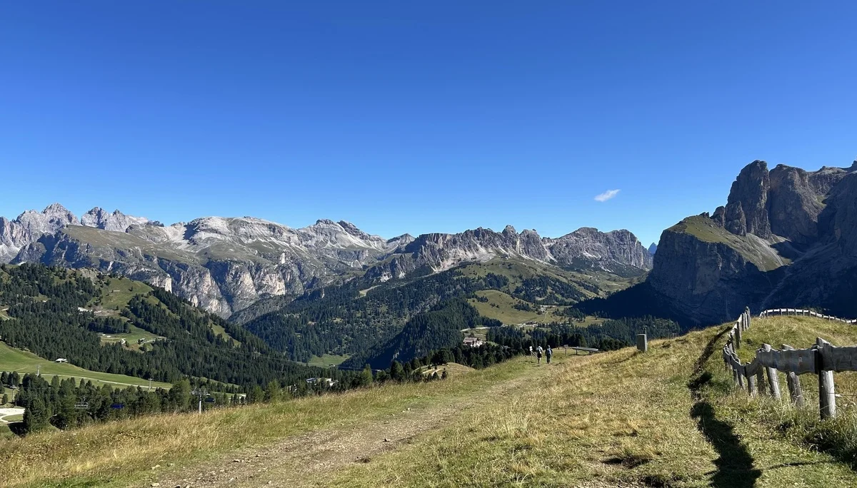 alle, außer social media | © Angela Hogrefe