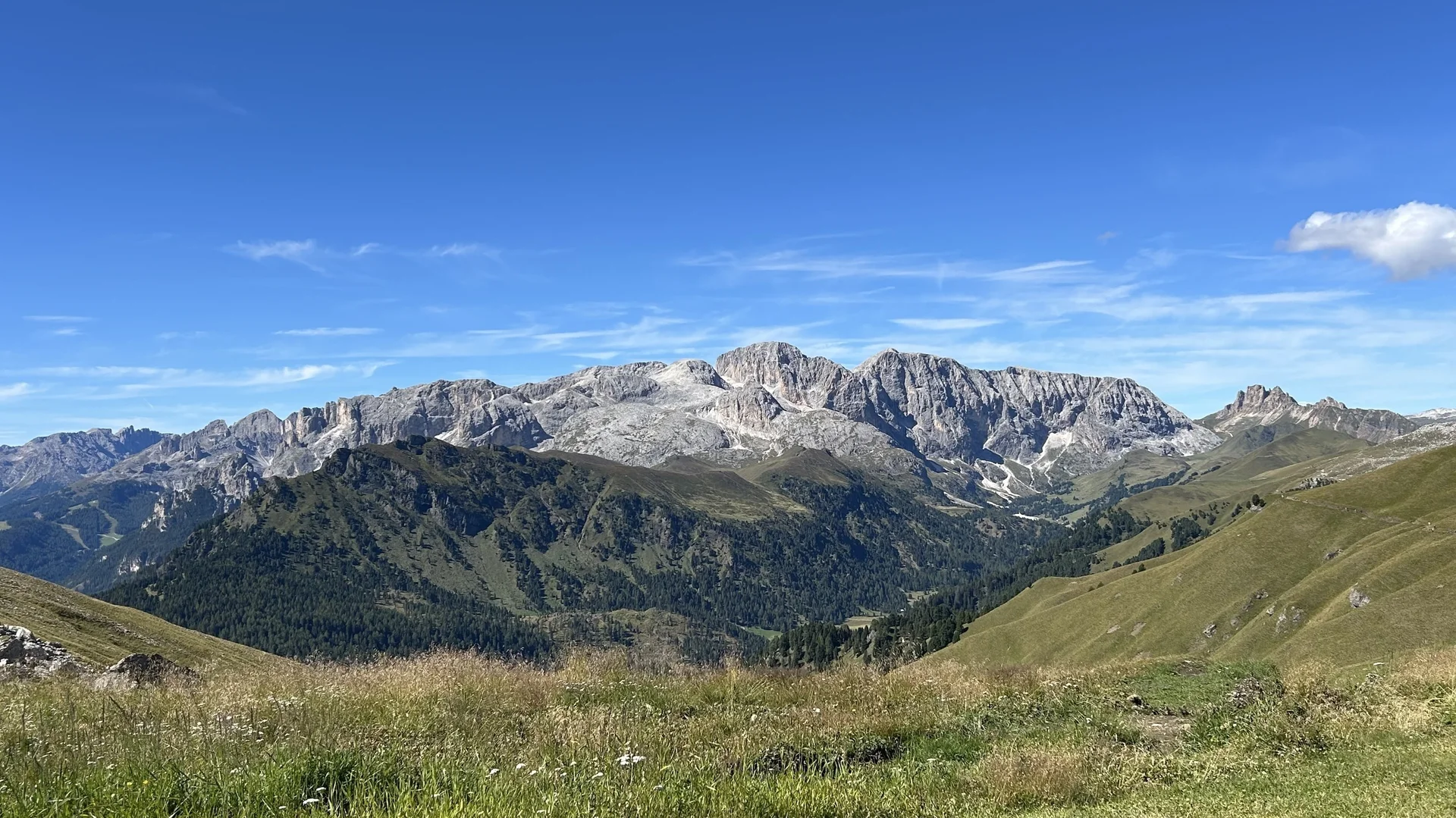 alle, außer social media | © Angela Hogrefe