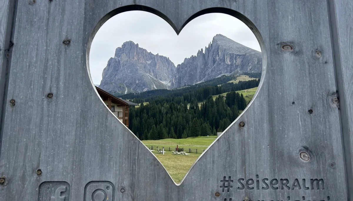 alle, außer social media | © Angela Hogrefe