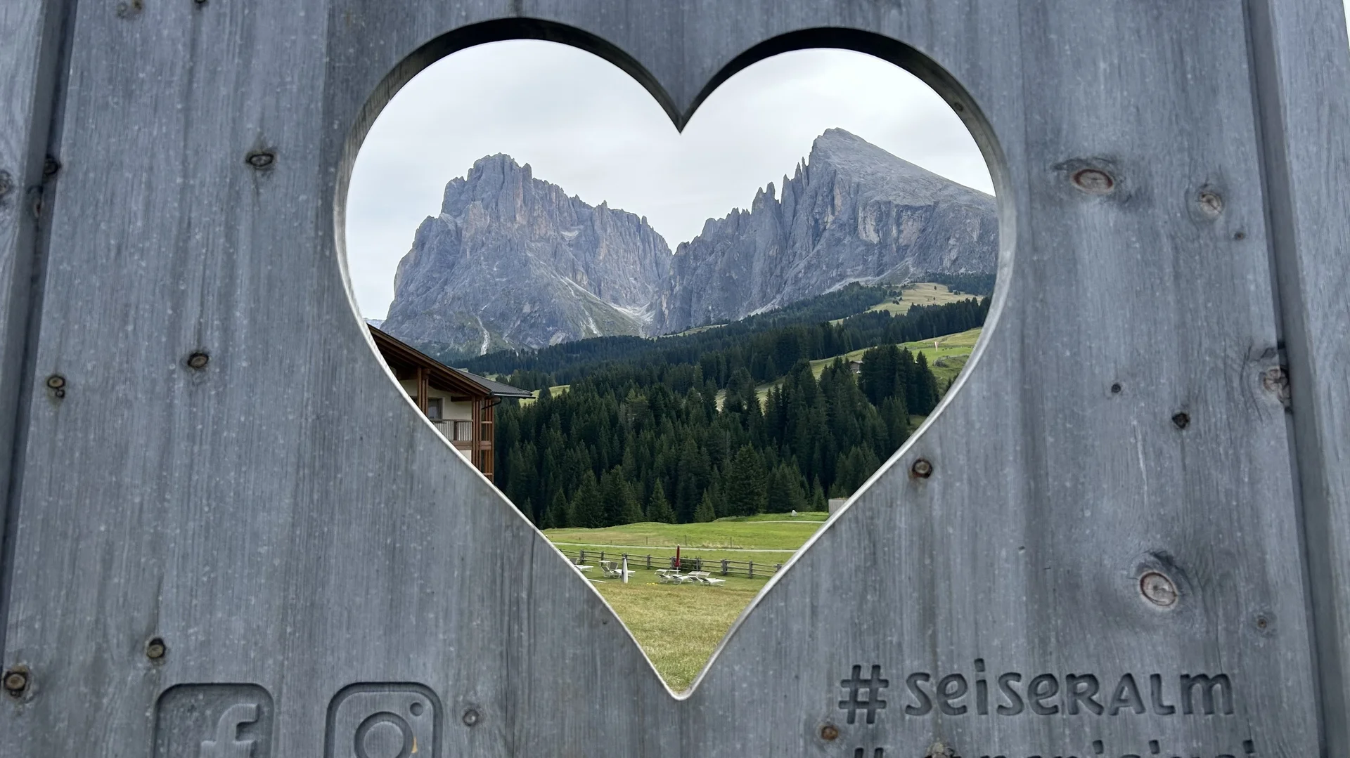 alle, außer social media | © Angela Hogrefe