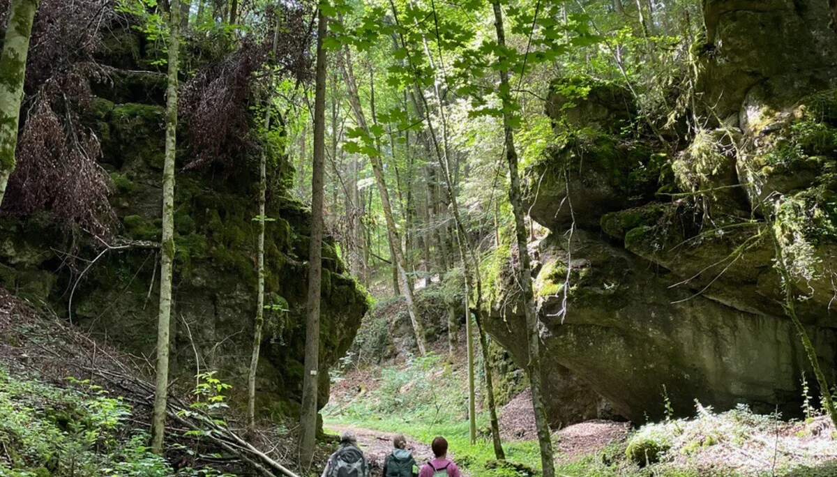 Webseite, Bergfreund | © Heidrun Stritzke