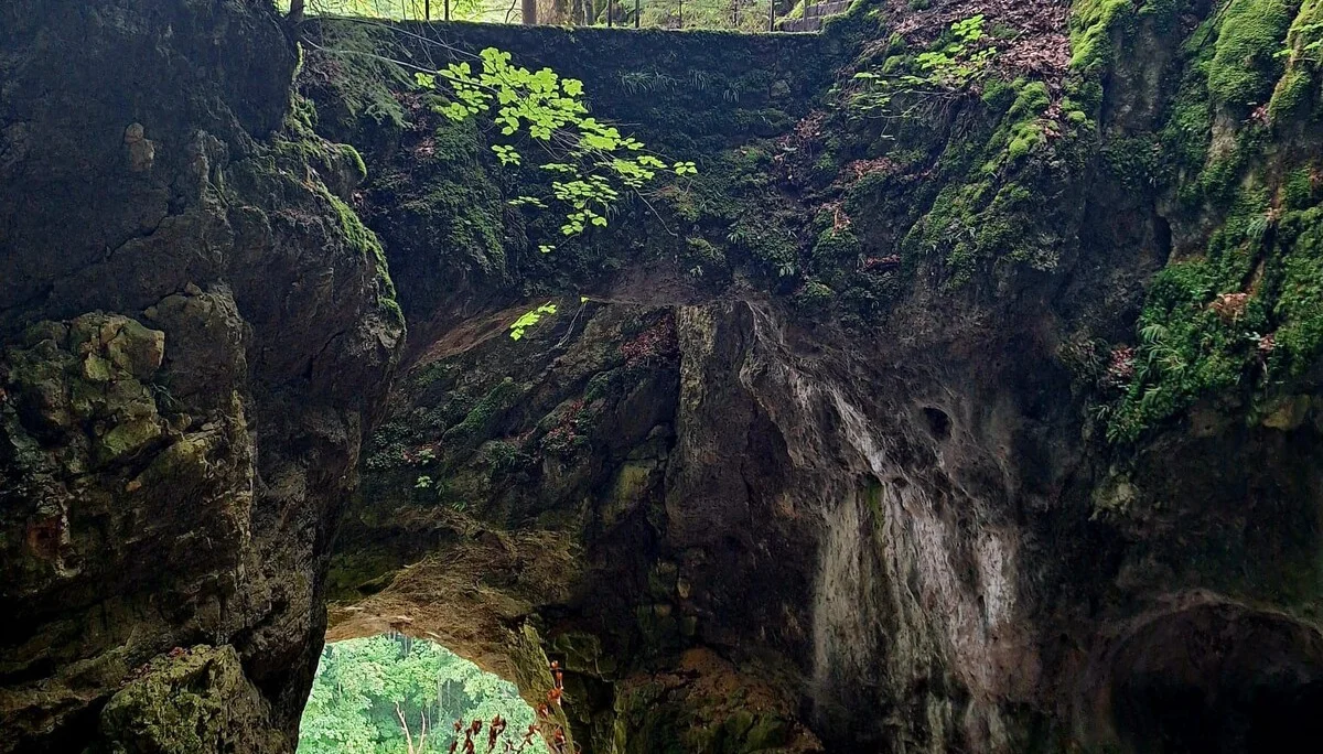 Wandertag | © Birgit Schnepper