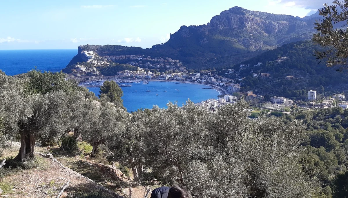 © Hans Wey / Ausblick vom GR 221 auf die Bucht von Port de Soller
