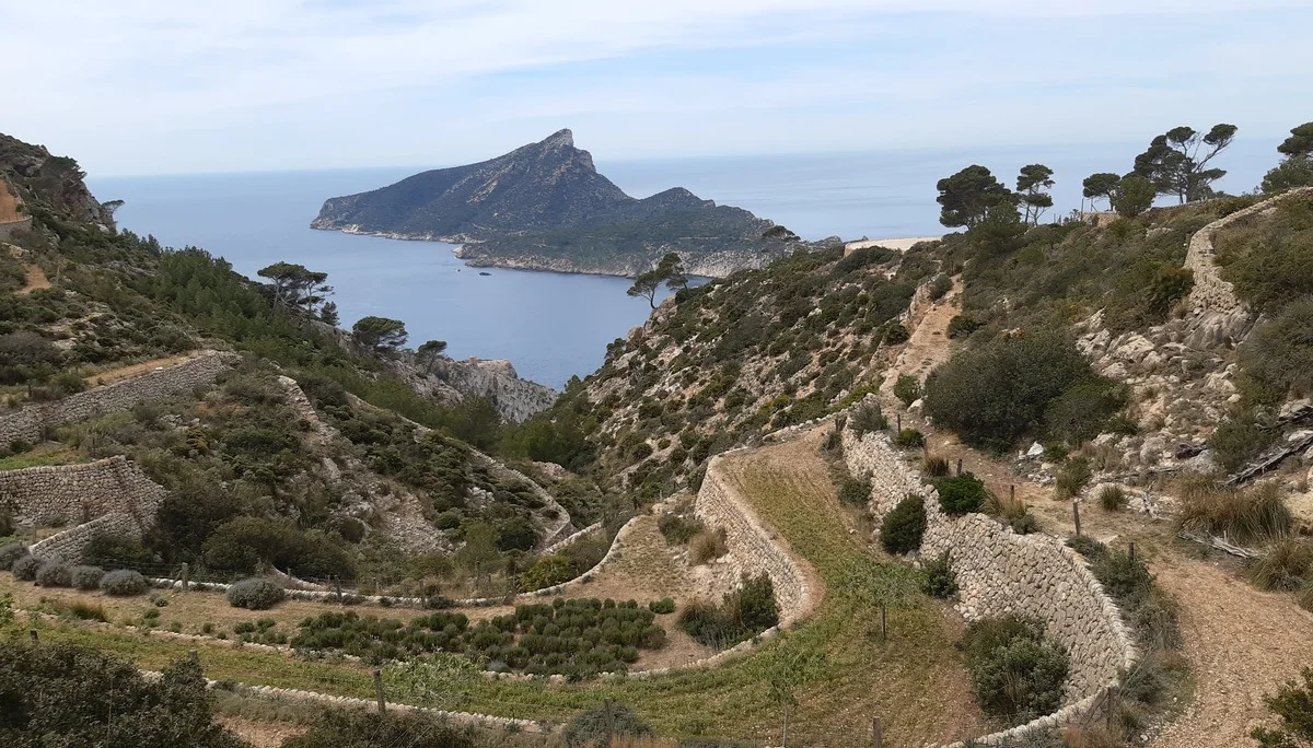 © Hans Wey / Blick von La Trapa auf Sa Dragonera