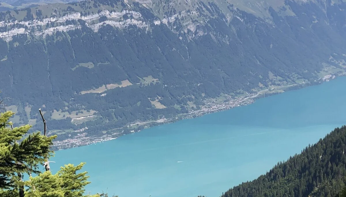 © Gabriele Neulinger