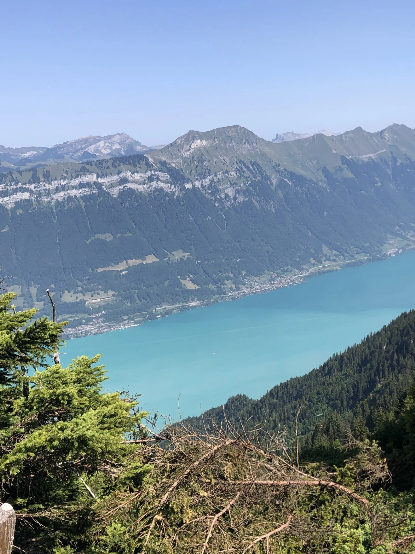 © Gabriele Neulinger