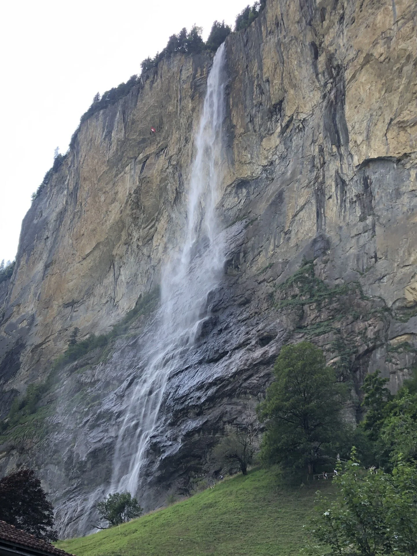 © Gabriele Neulinger