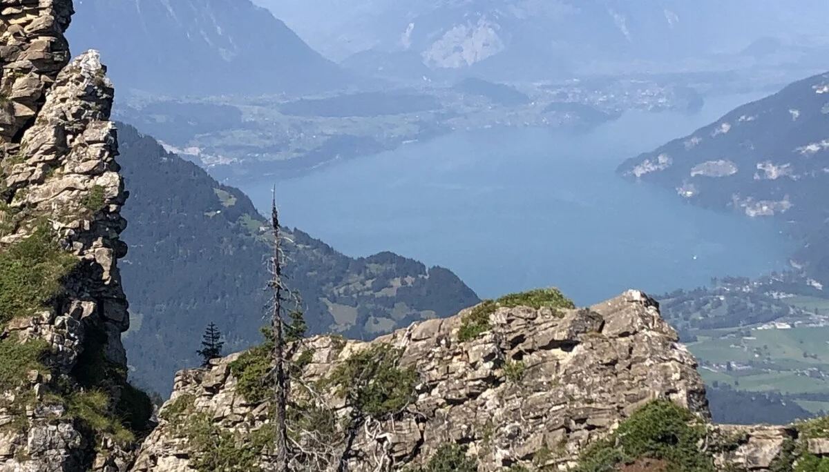 © Gabriele Neulinger