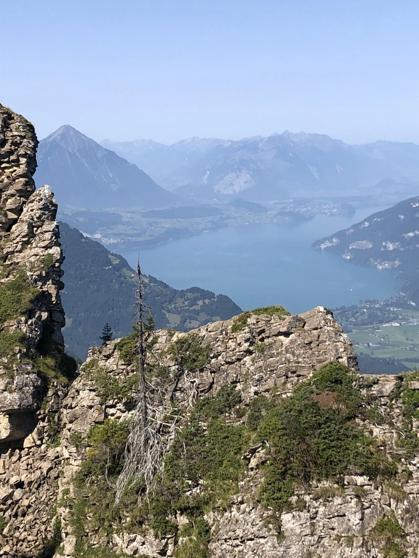 © Gabriele Neulinger