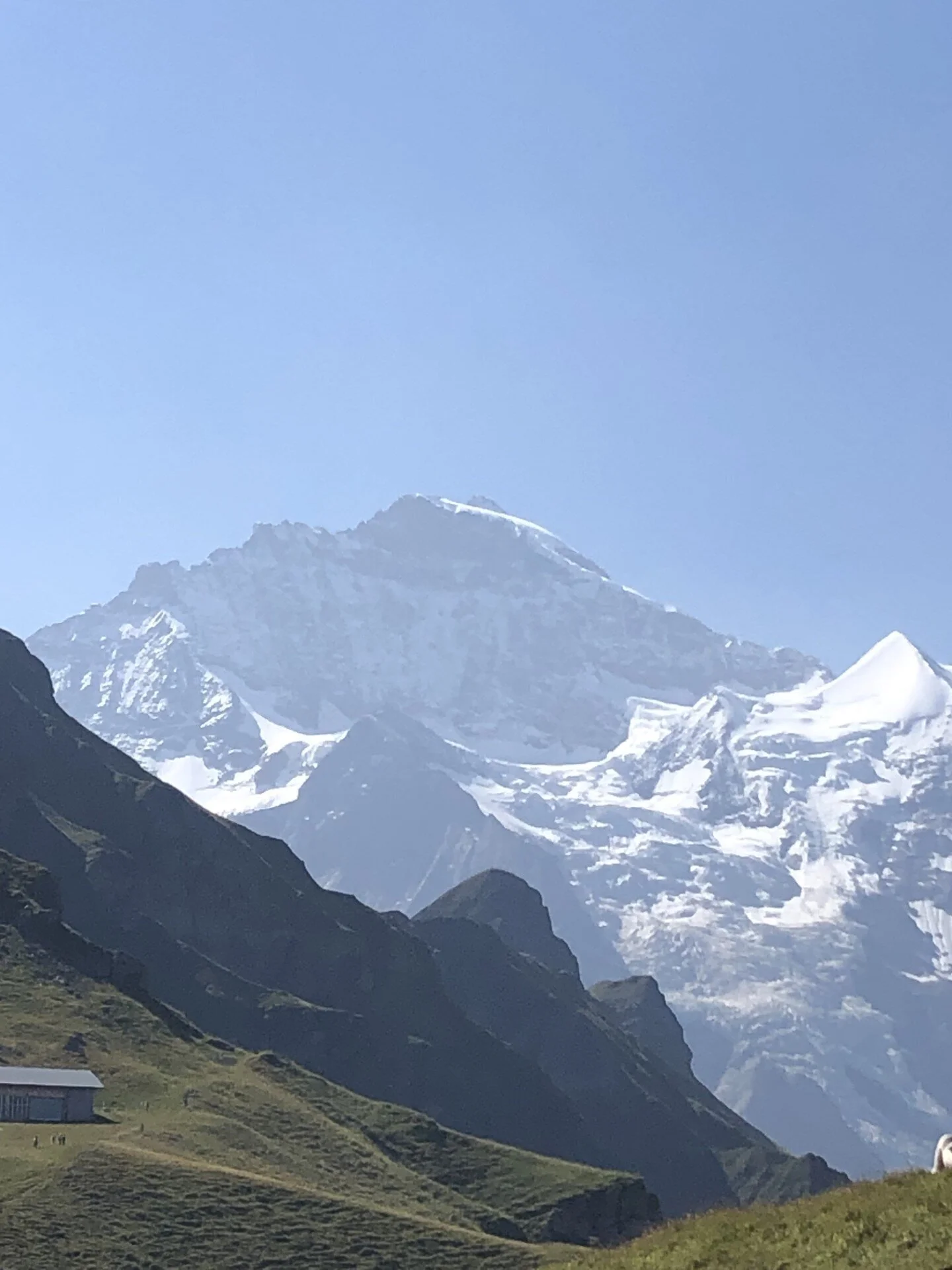 © Gabriele Neulinger