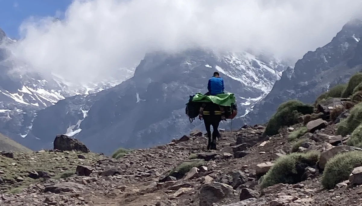 © Susanne Ermers-Illbruck