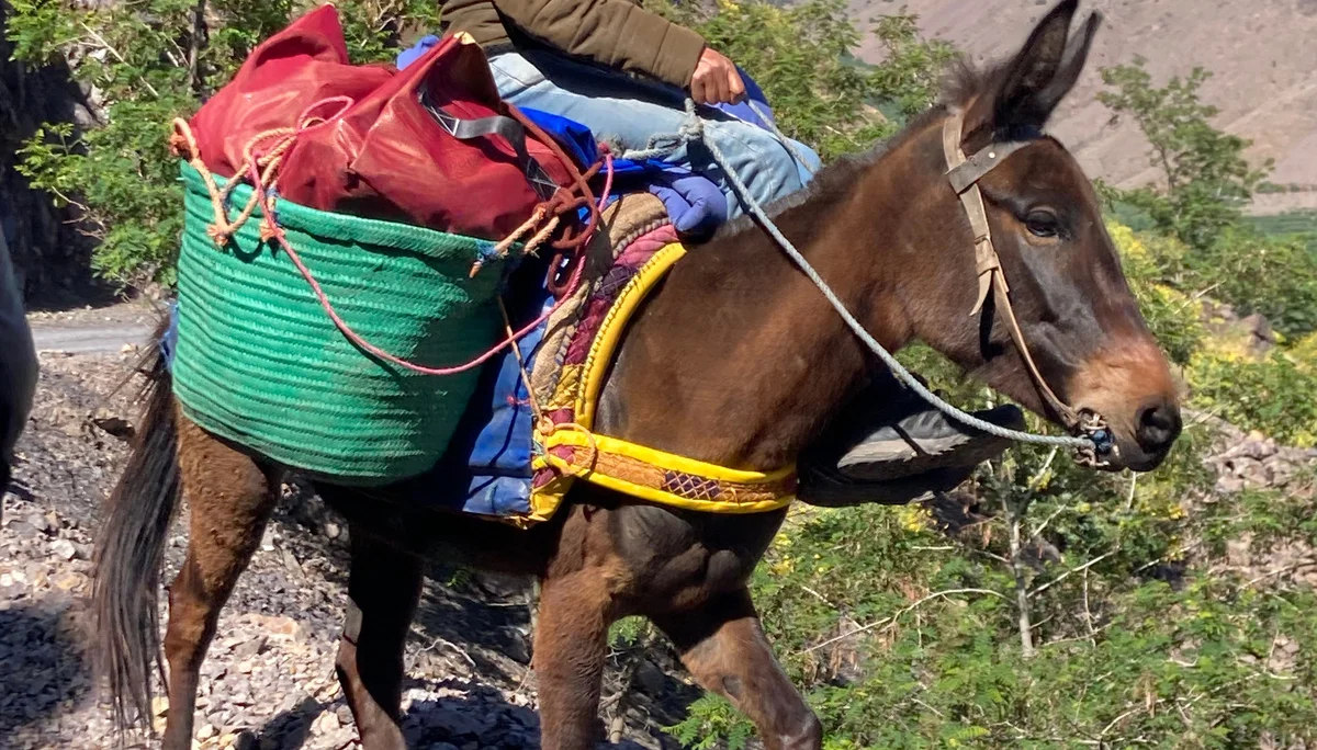 © Susanne Ermers-Illbruck