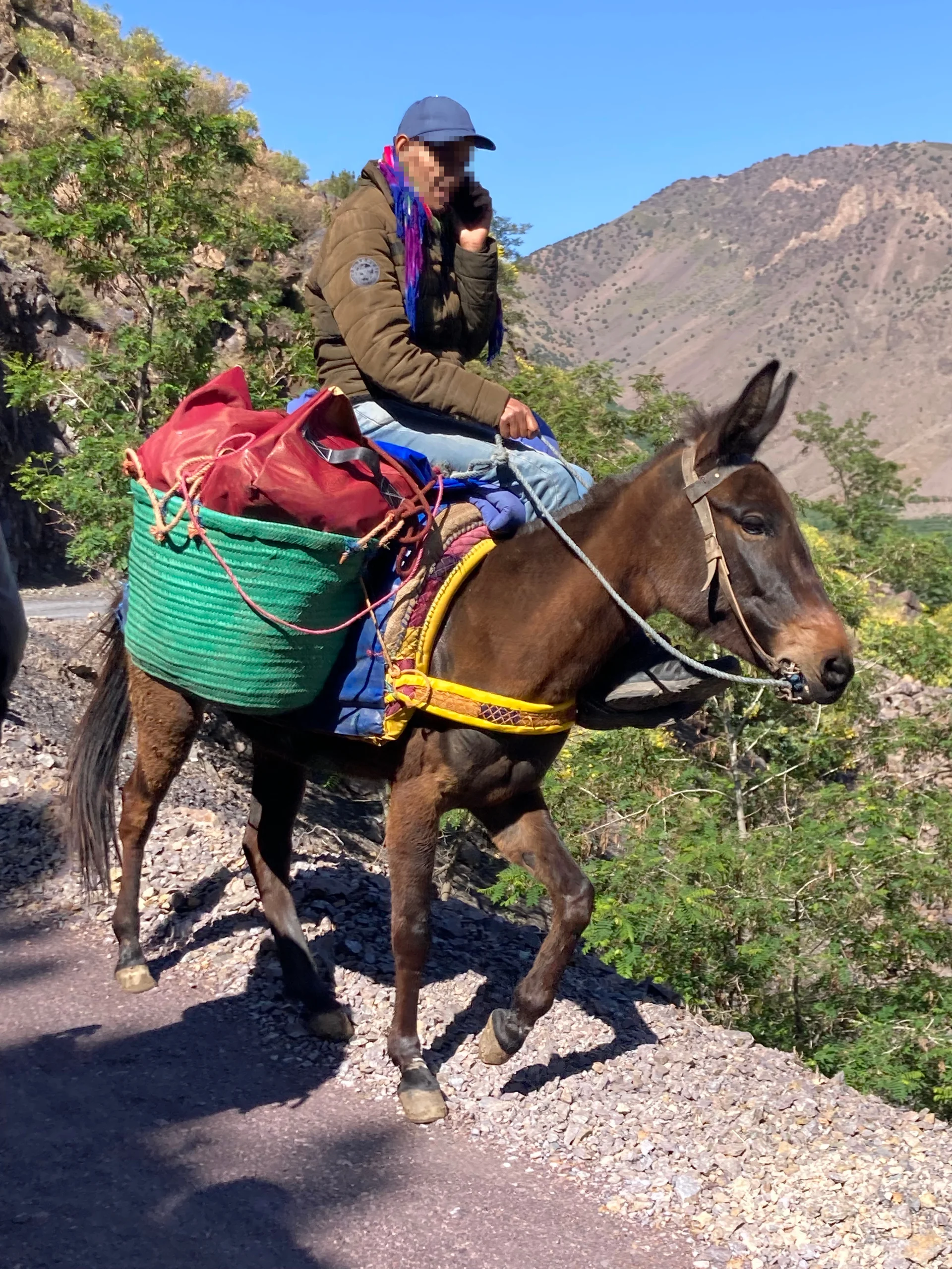 © Susanne Ermers-Illbruck