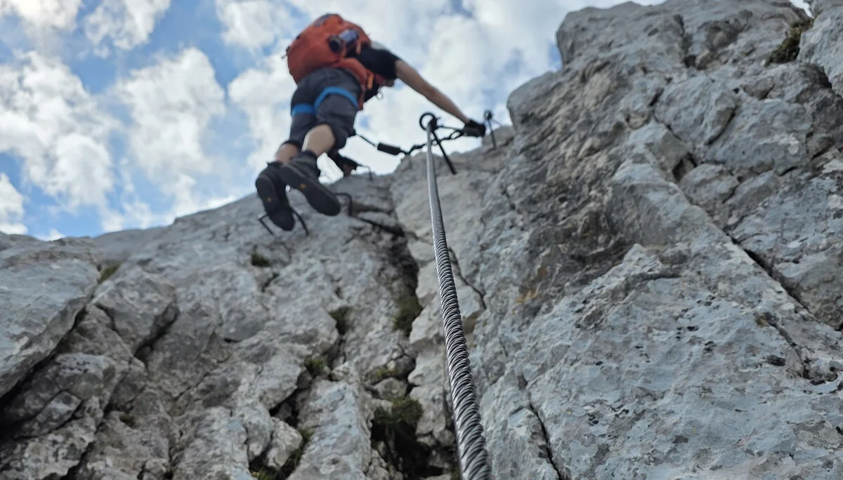 alle  | © Eckhard Deflize