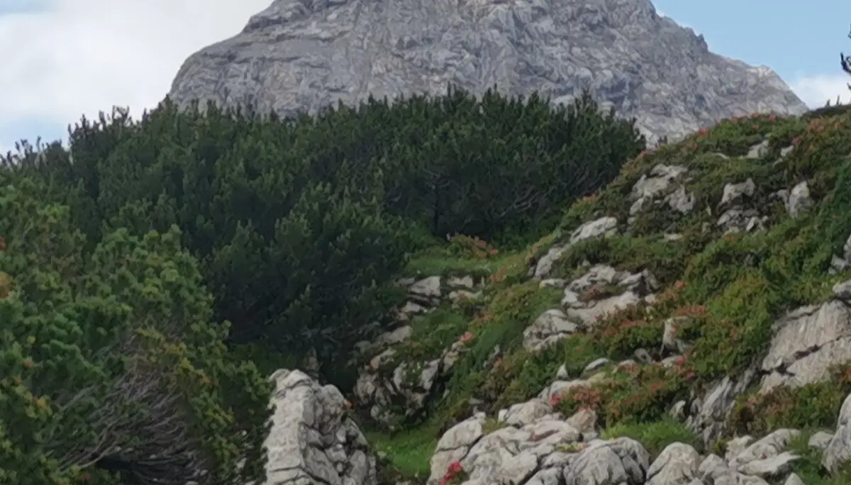 © Markus Mittasch und Eckhard Deflize/Blick auf die Schönfeldspitze