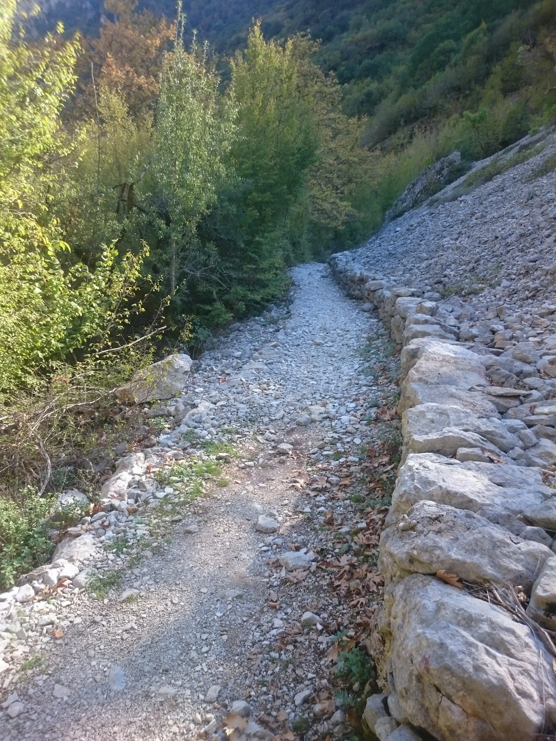 © Vassilios Prodromou