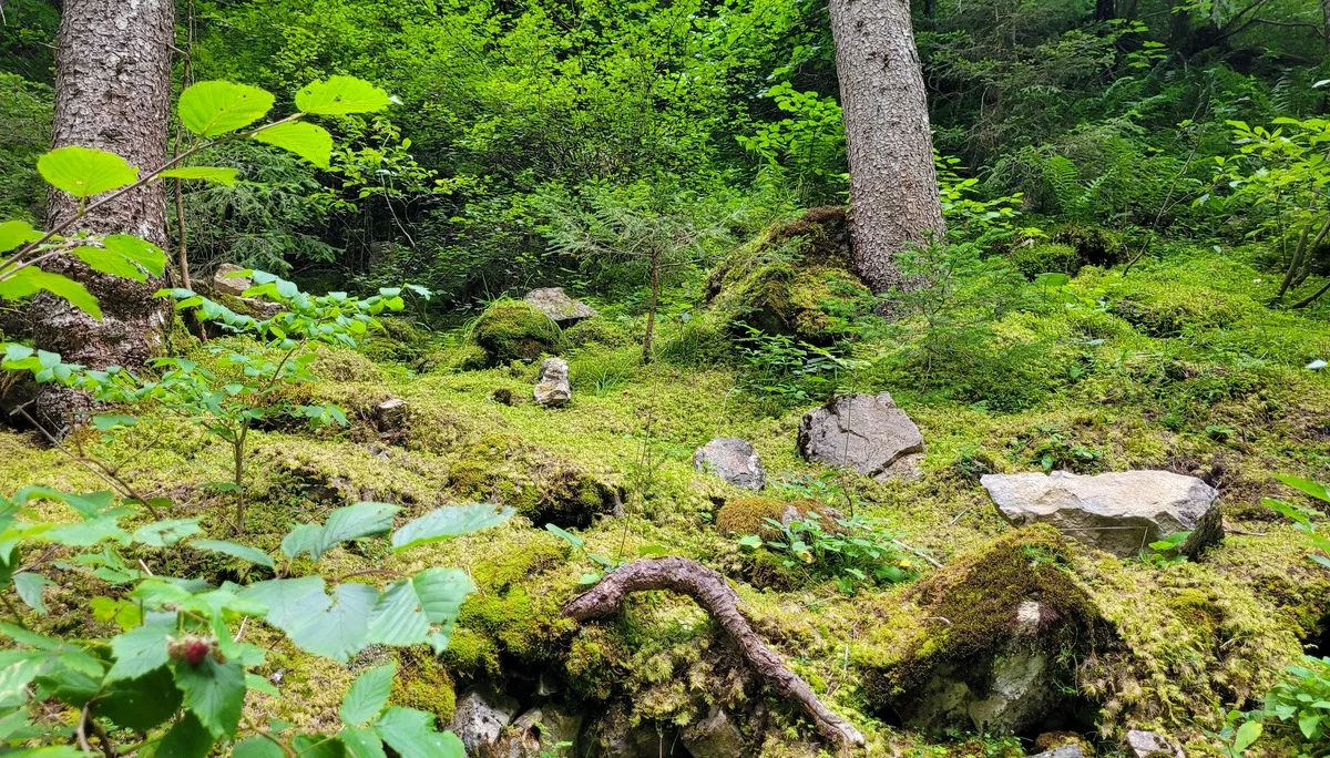 © Sandra Schürmann