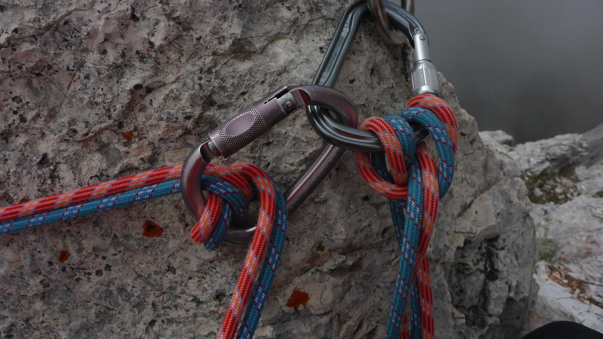 © weiches Auge /Thomas Schwindt