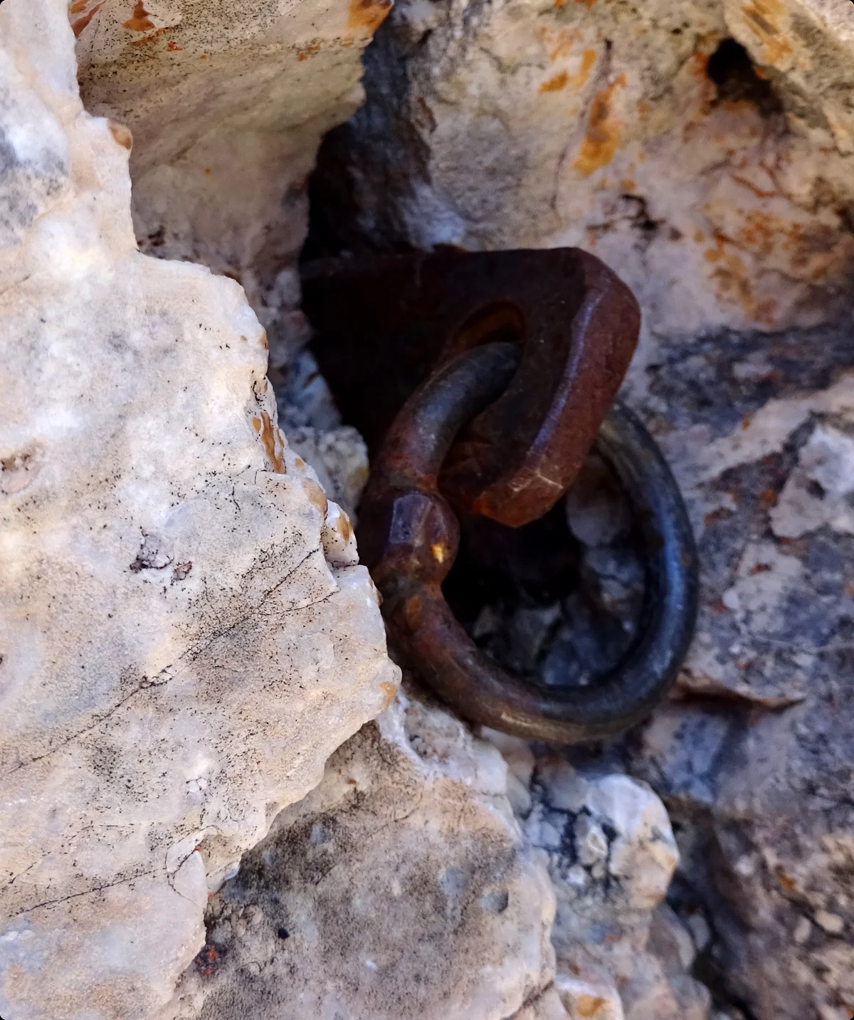 © Ringhaken / Thomas Huberty