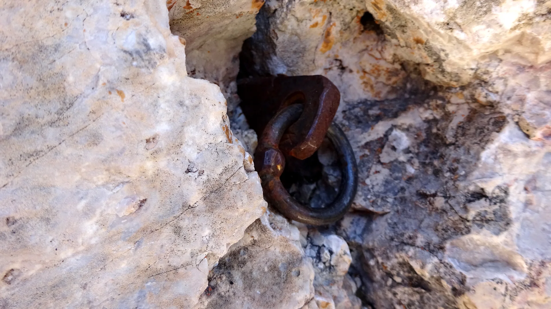 © Ringhaken / Thomas Huberty