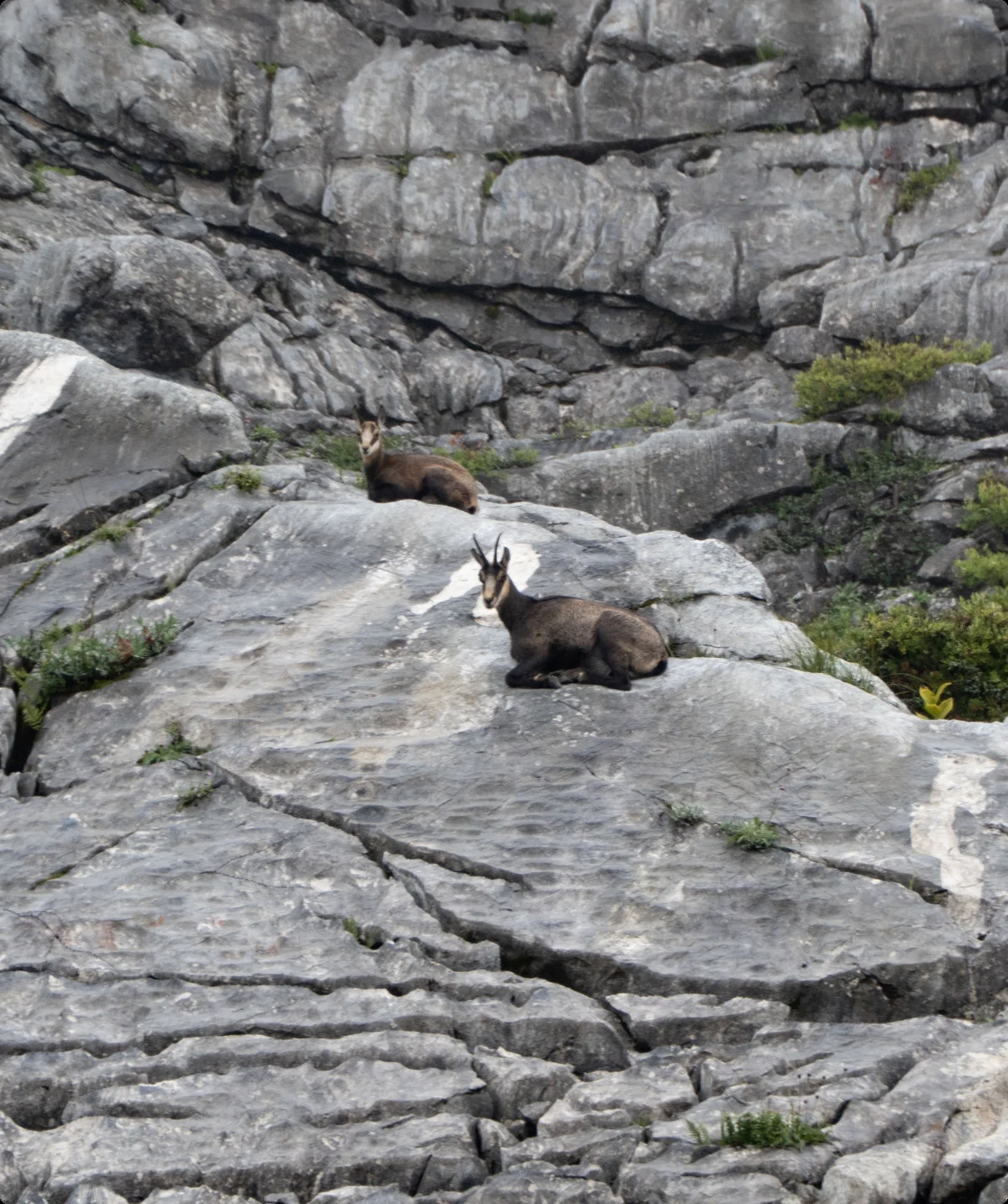 alle Rechte | © Walter Weiß
